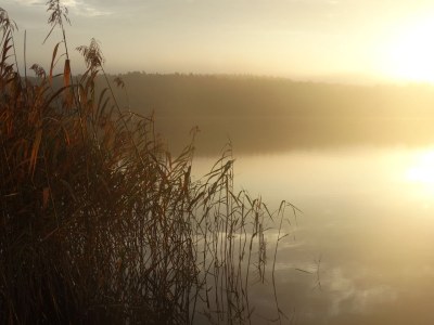 Holiday house Glammseehaus 6 - Environment photo 15