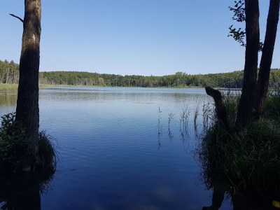 Holiday house Glammseehaus 6 - Environment photo 17