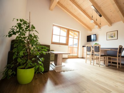 Apartment Appartement 1/Fewo, Bad, WC, 1 Schlafraum - Features photo 20