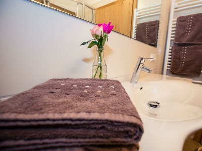 Apartment Appartement 1/Fewo, Bad, WC, 1 Schlafraum - Features photo 32