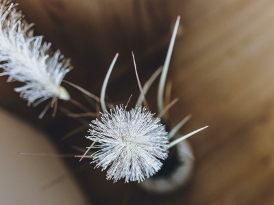 Apartment Spa Chalet - Penthouse Lodge - Features photo 63