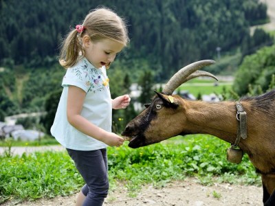 Holiday room Hotelappartement Jaga Alm Sommer - Outdoor photo 18