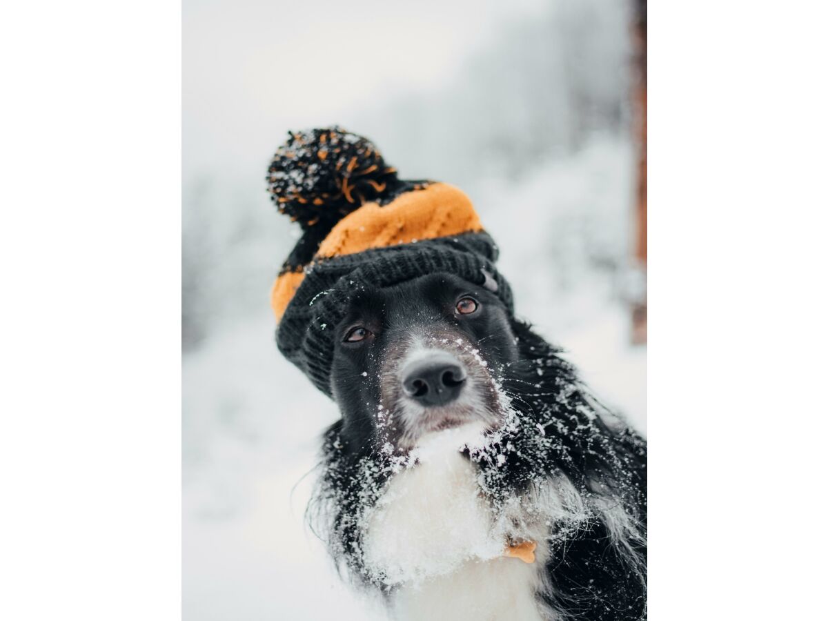 Apartment Appartement/Fewo, Dusche oder Bad, WC, 2 Schlafräu - Outdoor photo 5