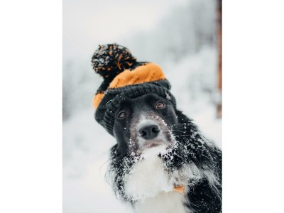 Apartment Appartement/Fewo, Dusche oder Bad, WC, 2 Schlafräu - Outdoor photo 5