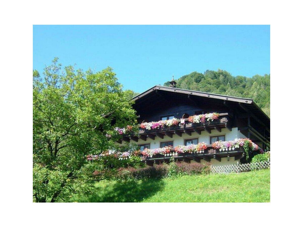 Holiday room Doppelzimmer mit Dusche od. Bad, WC - Outdoor photo 2