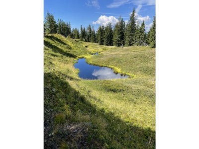 Apartment Schmittenblick - Outdoor photo 13