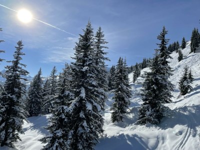 Apartment Schmittenblick - Outdoor photo 16