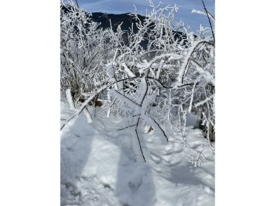 Apartment Schmittenblick - Outdoor photo 17