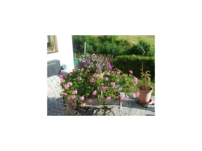 Holiday room Doppelzimmer mit Zustellbett - Outdoor photo 7