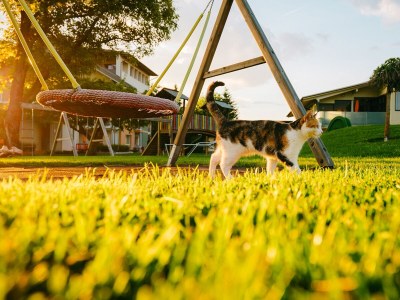 Holiday apartment - am Faaker See KARGLHOF - Outdoor photo 10