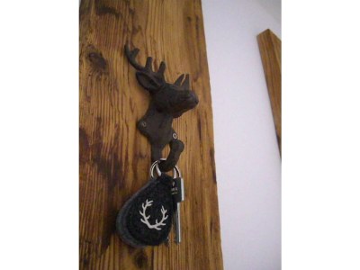 Apartment Bergjuwel - Features photo 48