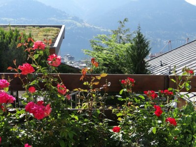 Apartment Appartement Honigkogel - 18 m² - Features photo 51