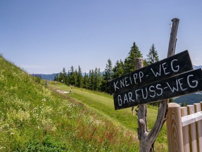 Holiday room Doppelzimmer mit Frühstück&Abendessen - Outdoor photo 14