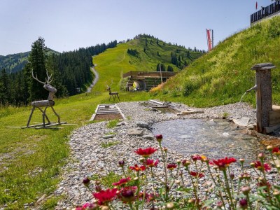 Holiday room Doppelzimmer mit Frühstück&Abendessen - Outdoor photo 15