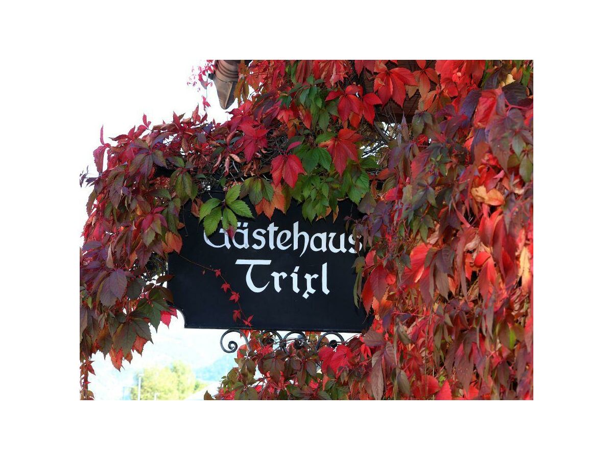 Apartment App Panoramablick - Outdoor photo 2