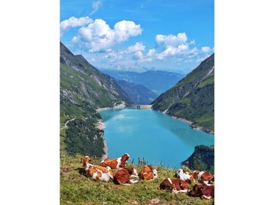 Apartment Bewegt Appartement - Outdoor photo 13