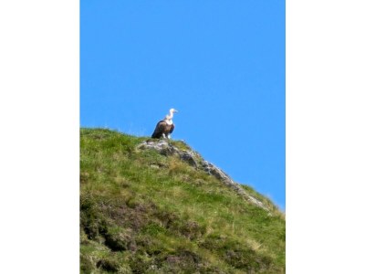 Apartment Bewegt Appartement - Outdoor photo 16