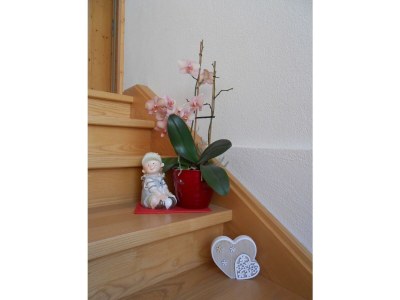 Apartment Apartment/1 Schlafraum/Bad, WC - Features photo 20