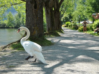 Apartment Appartement Nr. 1 mit Balkon Seeseite - Outdoor photo 22