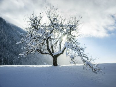 Apartment Alpin Apartement G'ret (3-6 Pers./ 3 SZ) - Outdoor photo 15