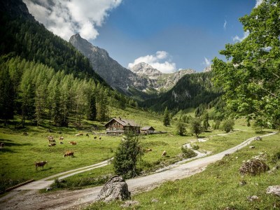 Apartment Alpin Apartement G'ret (3-6 Pers./ 3 SZ) - Outdoor photo 18