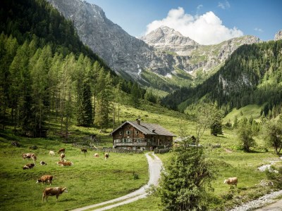 Apartment Alpin Apartement G'ret (3-6 Pers./ 3 SZ) - Outdoor photo 19