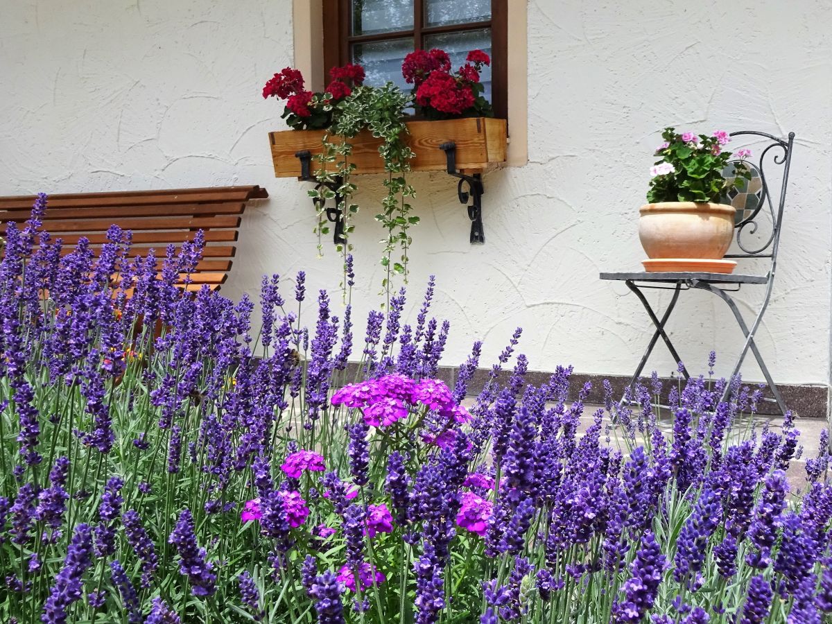 Holiday apartment Holzner-Hof "Hochplatte" - Outdoor photo 4