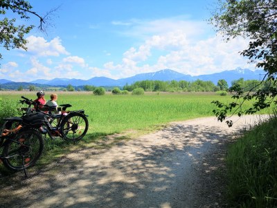 Holiday apartment Holzner-Hof "Hochplatte" - Environment photo 24