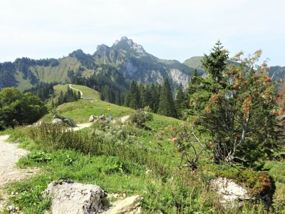 Holiday apartment Holzner-Hof "Hochplatte" - Environment photo 34