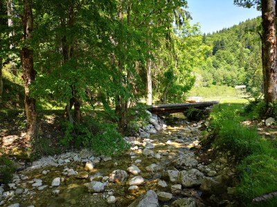 Holiday apartment Holzner-Hof "Hochplatte" - Environment photo 37