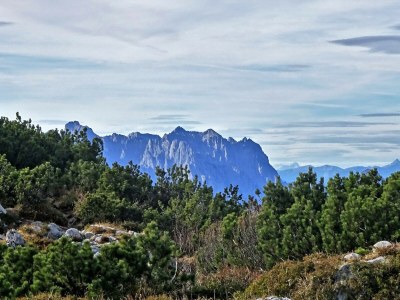 Holiday apartment Holzner-Hof "Hochplatte" - Environment photo 40
