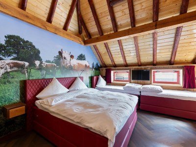 Holiday house Waldhaus in Friesland mit Sauna - Features photo 22