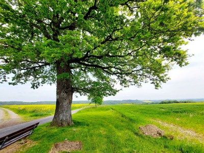 Apartment 4-Bett-Ferienwohnung Vulkaneifelchalet - Outdoor photo 38