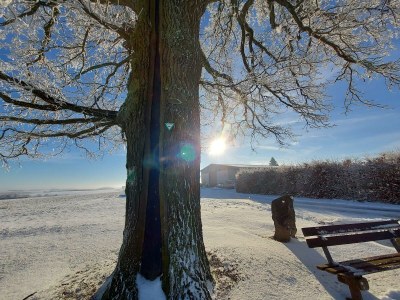Apartment 4-Bett-Ferienwohnung Vulkaneifelchalet - Outdoor photo 40