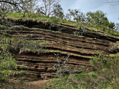 Apartment 4-Bett-Ferienwohnung Vulkaneifelchalet - Outdoor photo 49