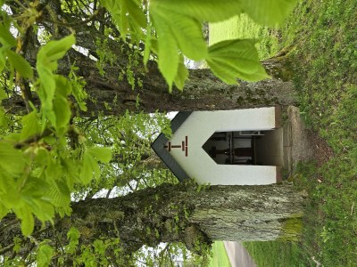 Apartment 4-Bett-Ferienwohnung Vulkaneifelchalet - Outdoor photo 54