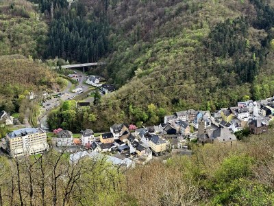 Apartment 4-Bett-Ferienwohnung Vulkaneifelchalet - Outdoor photo 55