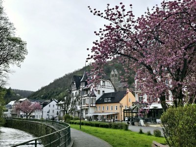 Apartment 4-Bett-Ferienwohnung Vulkaneifelchalet - Outdoor photo 60