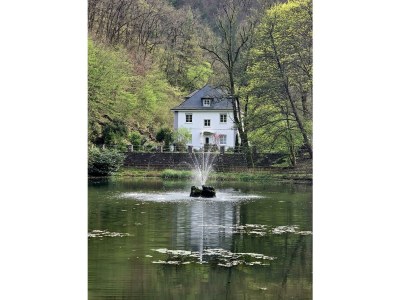 Apartment 4-Bett-Ferienwohnung Vulkaneifelchalet - Outdoor photo 63