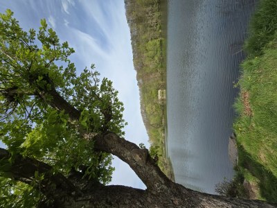 Apartment 4-Bett-Ferienwohnung Vulkaneifelchalet - Outdoor photo 68
