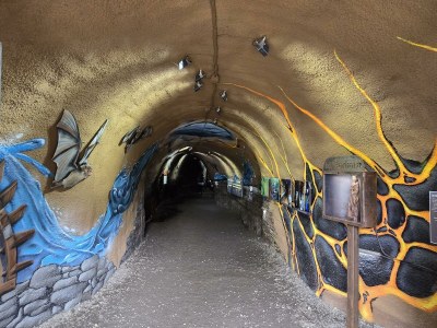 Apartment 4-Bett-Ferienwohnung Vulkaneifelchalet - Outdoor photo 69