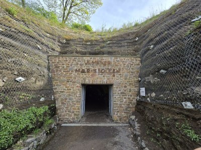 Apartment 4-Bett-Ferienwohnung Vulkaneifelchalet - Outdoor photo 74