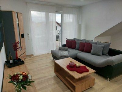 Apartment 4-Bett-Ferienwohnung Vulkaneifelchalet - Features photo 77