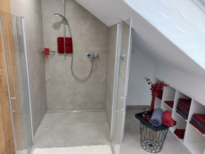 Apartment 4-Bett-Ferienwohnung Vulkaneifelchalet - Features photo 81