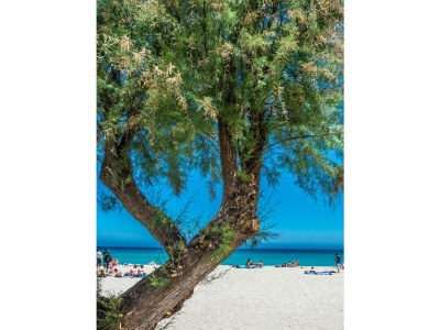 Apartment Casetta vista mare in piazza a Mondello - Outdoor photo 17