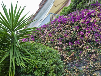 Apartment Casa Bianca a Bogliasco by Wonderful Italy - Outdoor photo 27