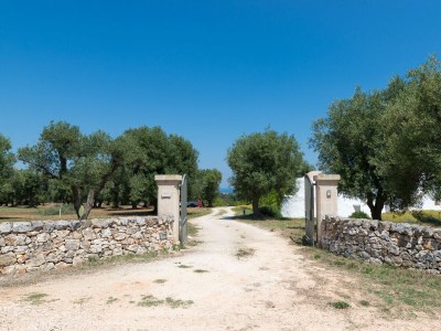 Holiday house Dimora Il Calaprico by Wonderful Italy - Outdoor photo 8