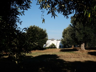 Holiday house Dimora Il Calaprico by Wonderful Italy - Environment photo 28