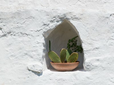 Holiday house Dimora Il Calaprico by Wonderful Italy - Outdoor photo 31