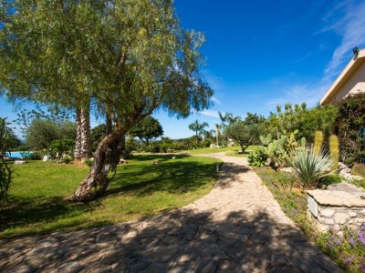 Apartment L'Ulivo Blu - One-bedroom with garden - Loc - Environment photo 12